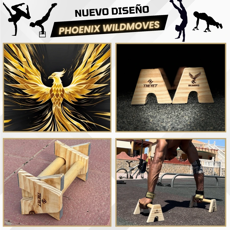 Paralelas Calistenia Phoenix